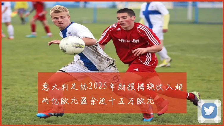 意大利足协2025年财报揭晓收入超两亿欧元盈余近十五万欧元
