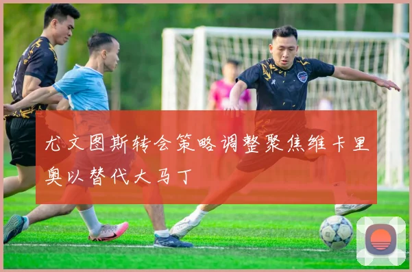尤文图斯转会策略调整聚焦维卡里奥以替代大马丁